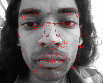 ... head-pose tracking, and along the way have come to model facial appearances. I start by initializing a facial bounding box using the Viola-Jones ... - stasm_fit